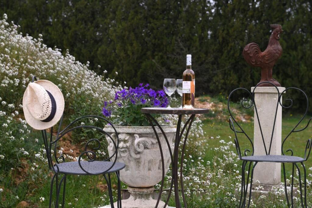 Le Galinie Chic'Art. Un Bel Atelier Avec Piscine Villa Карпентра Екстериор снимка